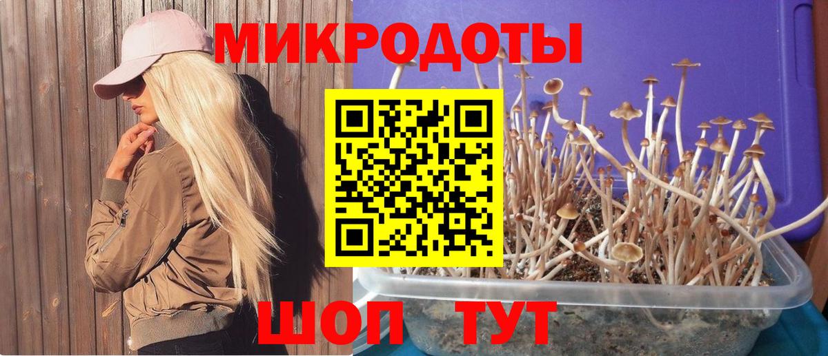 Псилоцибиновые грибы Psilocybine cubensis Наро-Фоминск